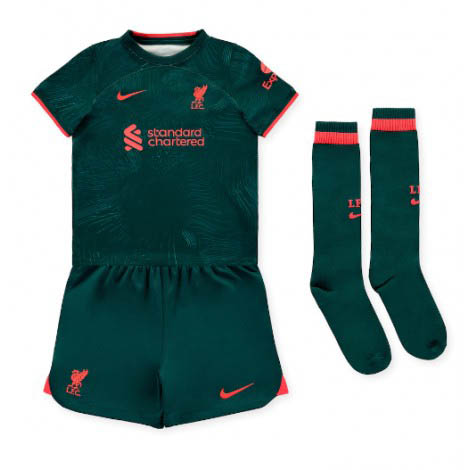 Kids Liverpool Darwin Nunez #27 Derde tenue 2022-23 Korte Mouw (+ Korte broeken)-1