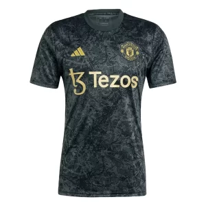 Manchester United Voetbaltenue Stone Roses Pre-Match 2023-2024 Thuisshirt Korte Mouw