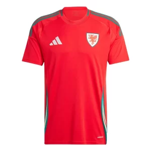 Wales Thuis tenue 2024 Voetbalshirts Korte Mouw